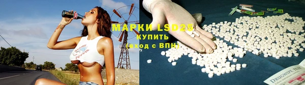 гидра Михайловка