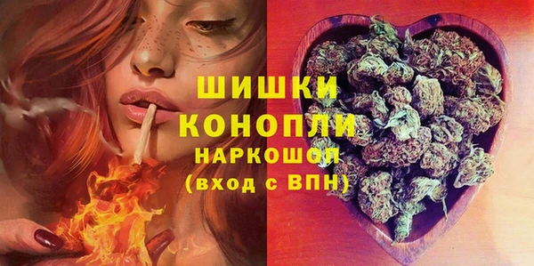 ешки Медногорск