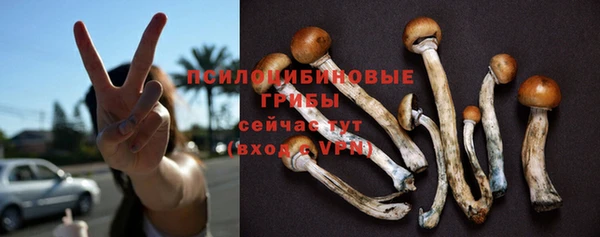 прущая мука Зеленокумск