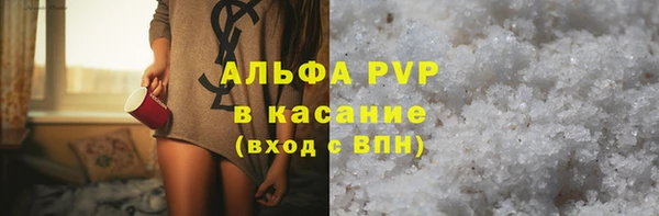 гидра Михайловка