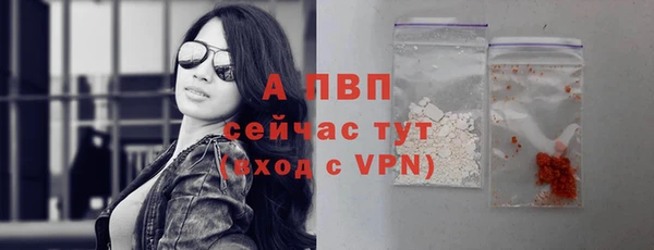 гашик Инсар
