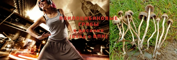 кокс Михайлов