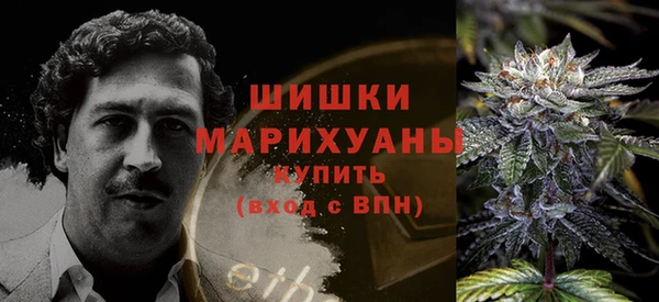 apvp Инта